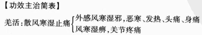 羌活的功效与作用