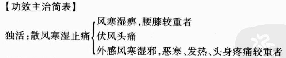 独活的功效与作用