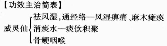 威灵仙的功效与作用