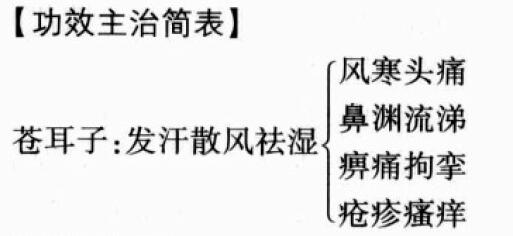 苍耳子的功效与作用