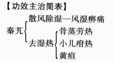 秦艽的功效与作用