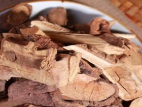 钻地风的功效与作用,中药钻地风图片