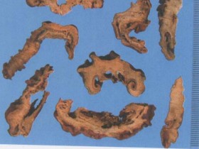 木瓜的功效与作用及禁忌,中药木瓜图片