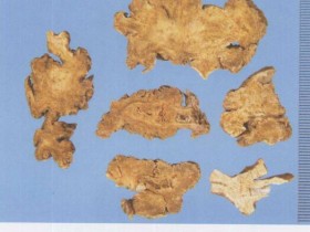 藁本的功效与作用及禁忌,中药藁本图片