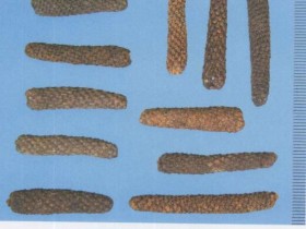 荜茇的功效与作用,中药荜茇图片