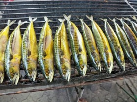 怀孕时补充蛋白质吃什么？看看蛋白粉的作用