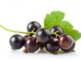 黑加仑的营养价值及功效与作用