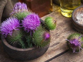 水飞蓟的功效与作用