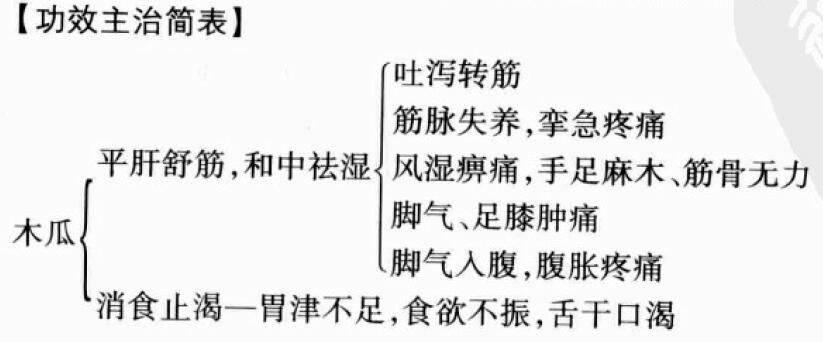 木瓜的功效与作用