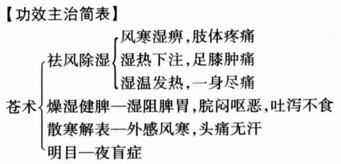 苍术的功效与作用