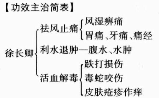 徐长卿的功效与作用