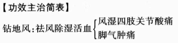 钻地风的功效与作用