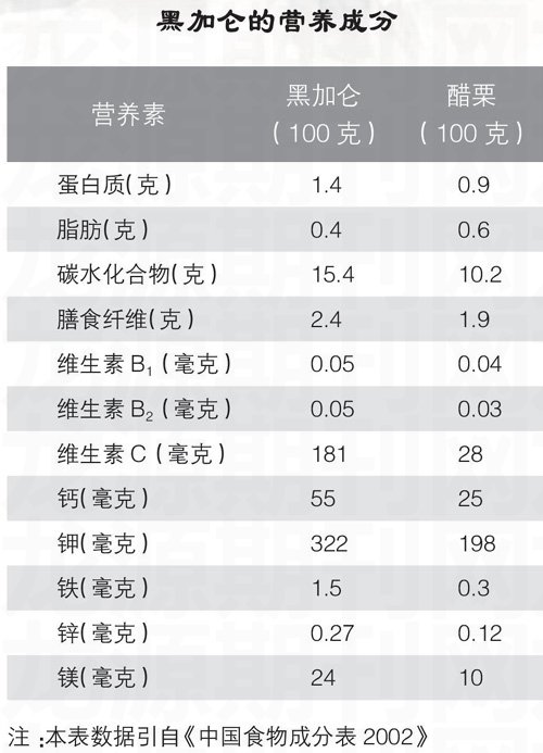 黑加仑的营养成分表
