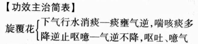 旋覆花的功效与作用