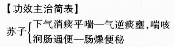 苏子的功效与作用