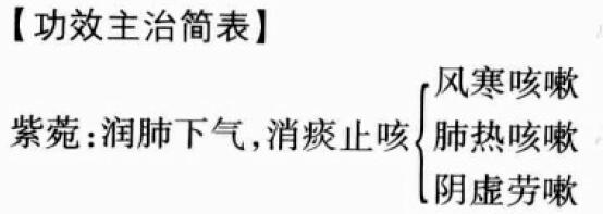 紫菀的功效与作用