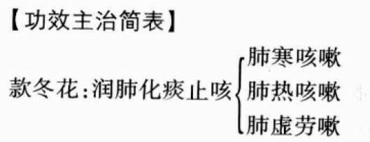 款冬花的功效与作用