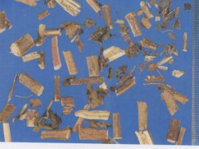 藿香的功效与作用及禁忌,中药藿香图片