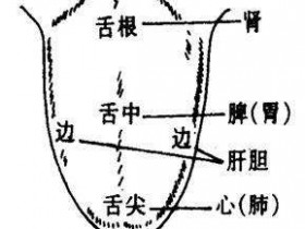 舌苔厚白是怎么回事？舌苔厚白怎样快速消除？