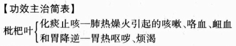 枇杷叶的功效与作用