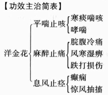 洋金花的功效与作用