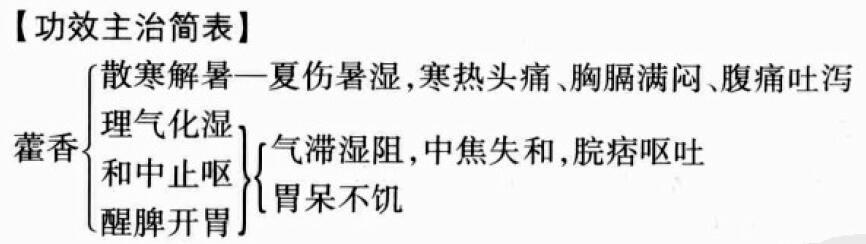 藿香的功效与作用