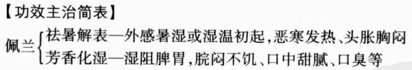 佩兰的功效与作用