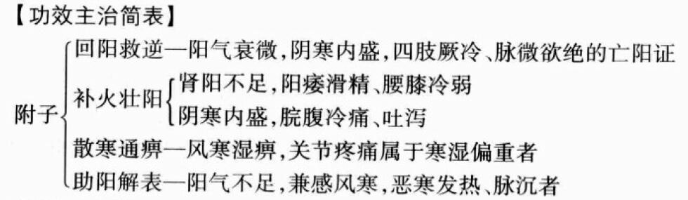 附子的功效与作用