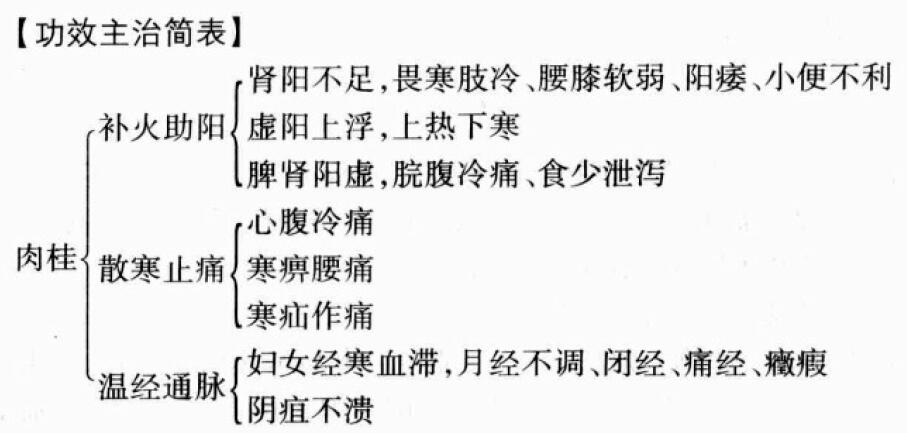 肉桂的功效与作用