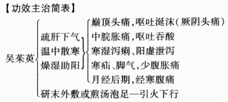 吴茱萸的功效与作用