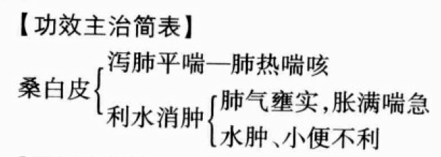 桑白皮的功效与作用