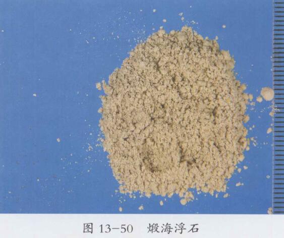 海浮石