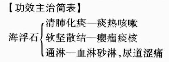 海浮石的功效与作用