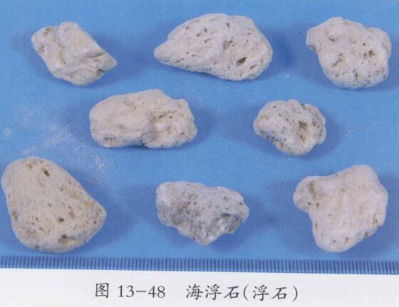 海浮石图片