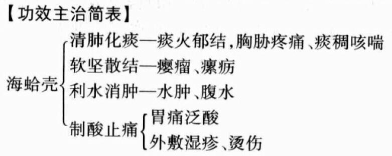 海蛤壳的功效与作用