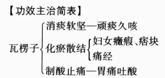 瓦楞子的功效与作用