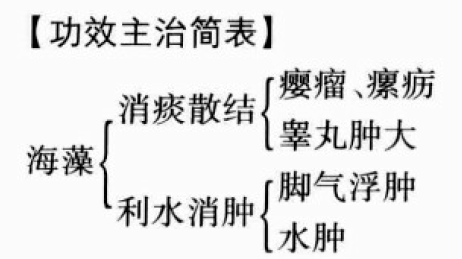 海藻的功效与作用