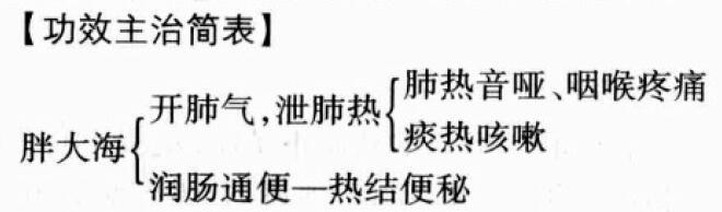 胖大海的功效与作用