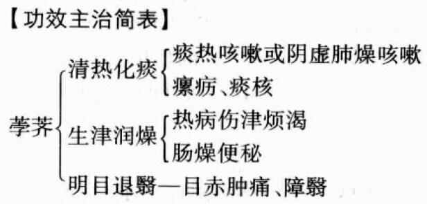 荸荠的功效与作用