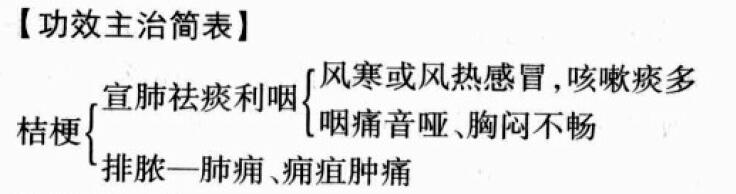 桔梗的功效与作用