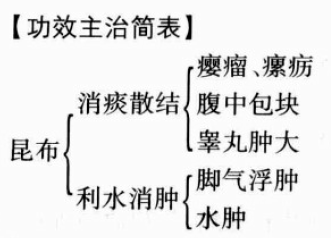 昆布的功效与作用