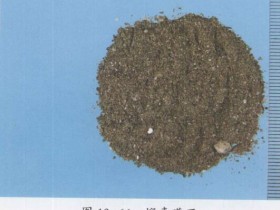 礞石的功效与作用及禁忌,中药礞石图片