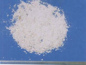 海蛤壳的功效与作用,中药海蛤壳（粉）图片