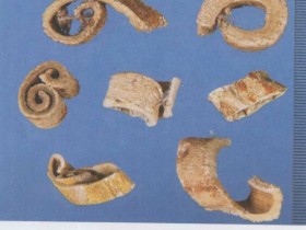 桑白皮的功效与作用及禁忌,中药桑白皮图片