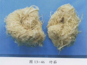 竹茹的功效与作用,中药竹茹图片