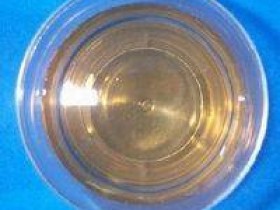 竹沥的功效与作用及禁忌