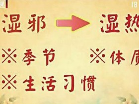 祛湿的食物,去湿热的方法大全