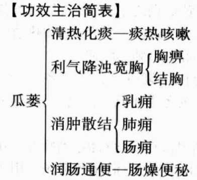 瓜蒌的功效与作用