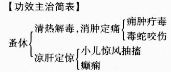 七叶一枝花的功效与作用