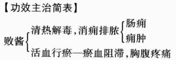 败酱草的功效与作用